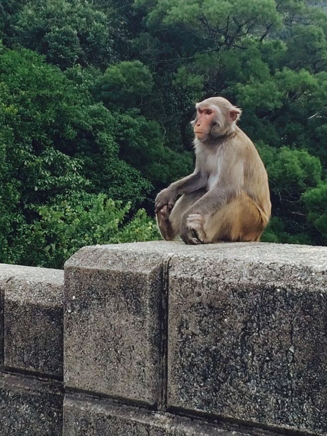 四个人，八条腿，一颗心，我们共同的乐施毅行者