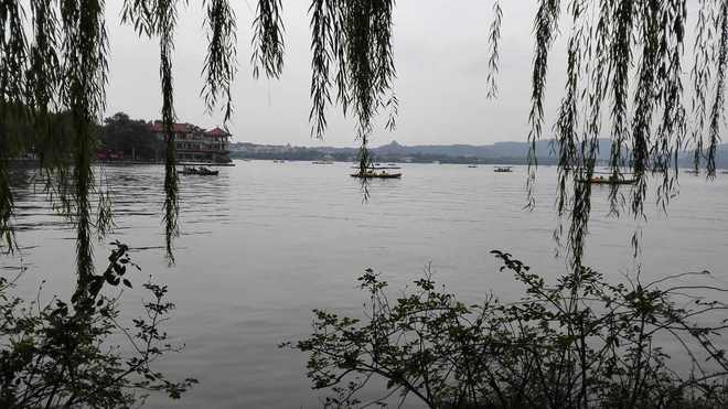 烟雨杭州，乐跑无限