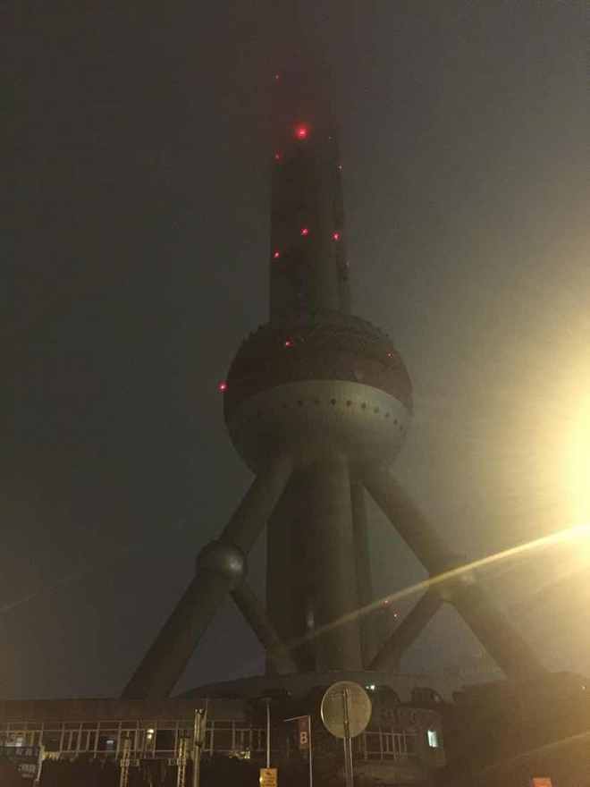 女人花---上海女子半程马拉松关门兔赛记