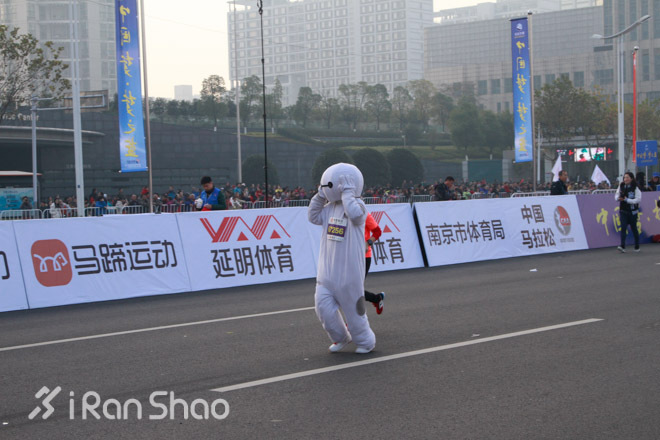 回顾 | 首届南马，一场“出人意料”的马拉松