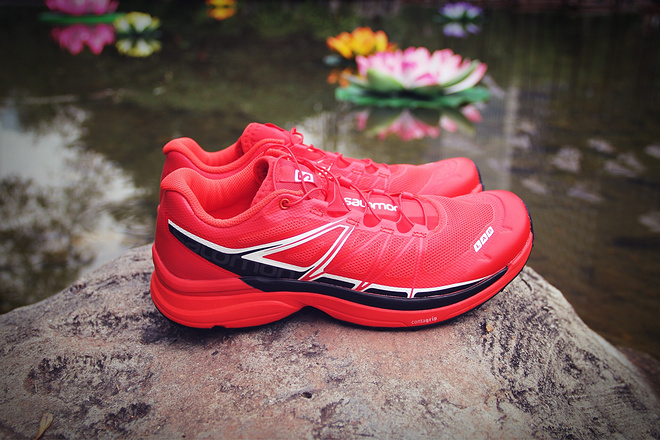 四个人，八条腿，一颗心，我们共同的乐施毅行者