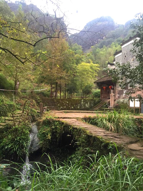 越过未知的山野/武夷山国际越野赛全新体验
