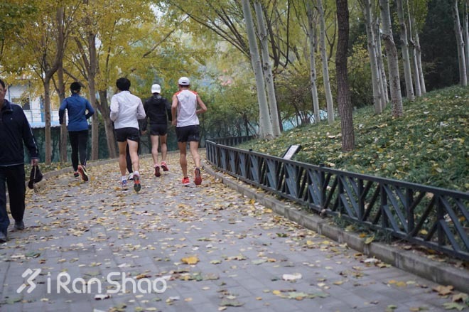 现场 | 赶在银杏叶落下时，分秒不差跑玩半马——Salomon城市越野北京站
