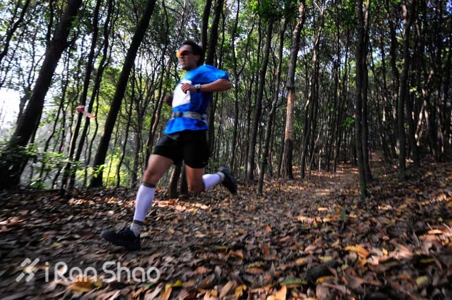 十年 | 一程风雪一程歌，十年威斯十年痴