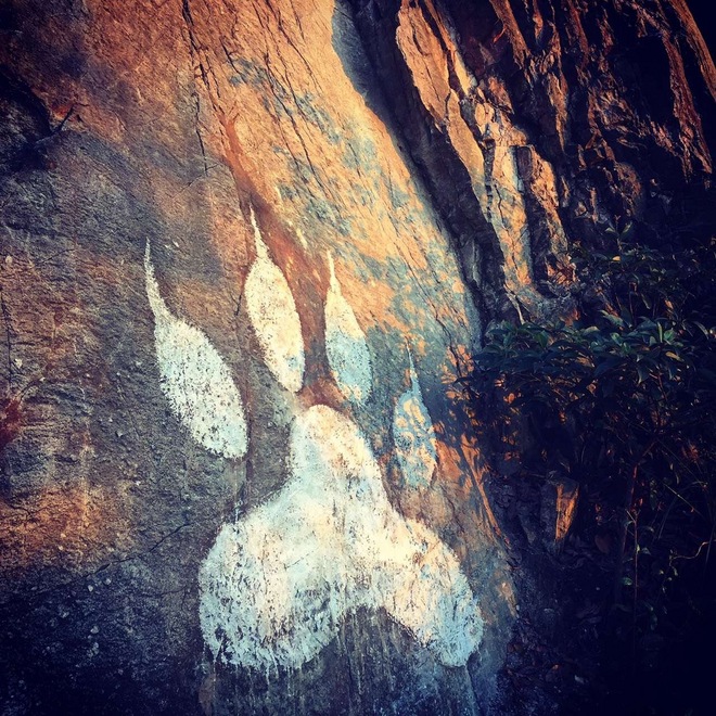 纵情山野丛林间的享受——西野追狼后记