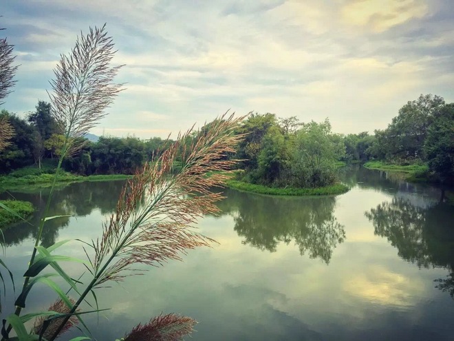 纵情山野丛林间的享受——西野追狼后记