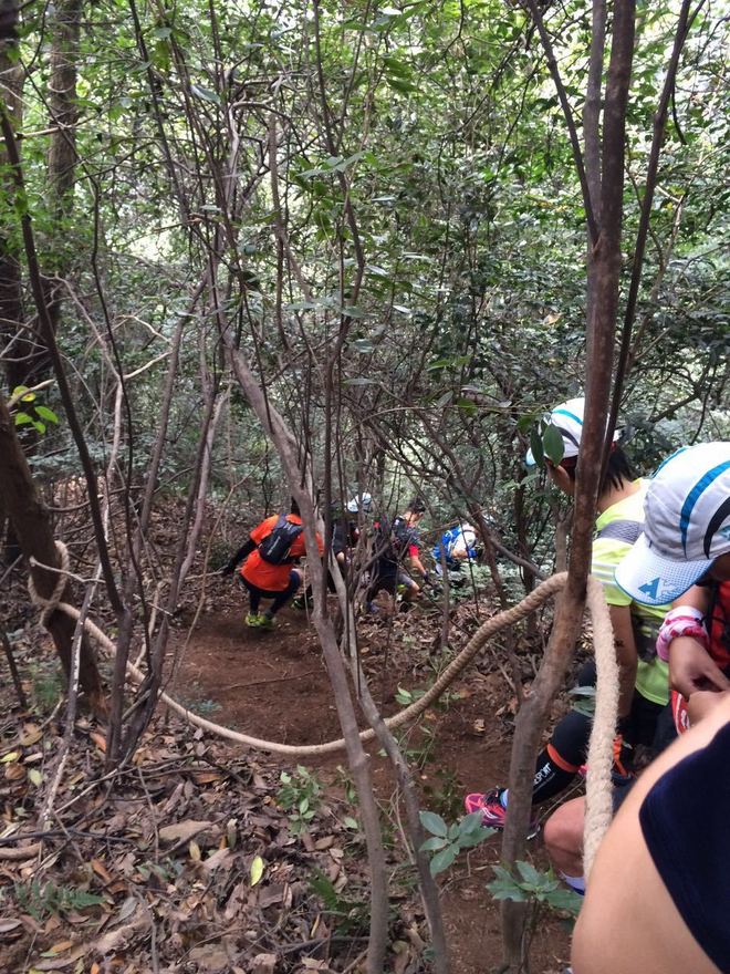 纵情山野丛林间的享受——西野追狼后记