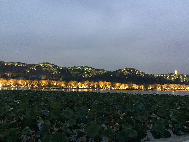烟雨蒙蒙步杭州-记录自己的杭州马拉松之行