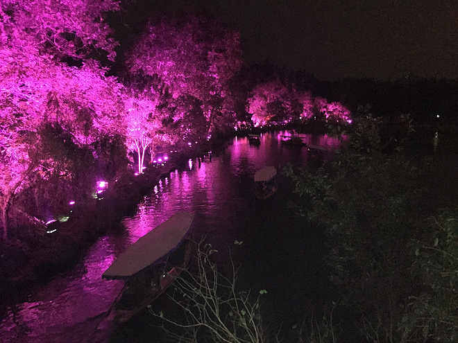 烟雨蒙蒙步杭州-记录自己的杭州马拉松之行