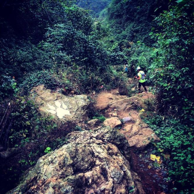 纵情山野丛林间的享受——西野追狼后记