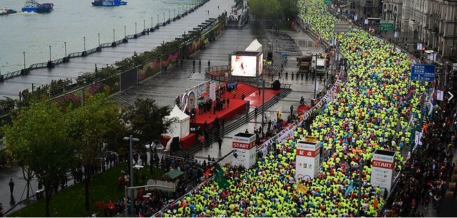 战 上 海          记我的2015上海马拉松