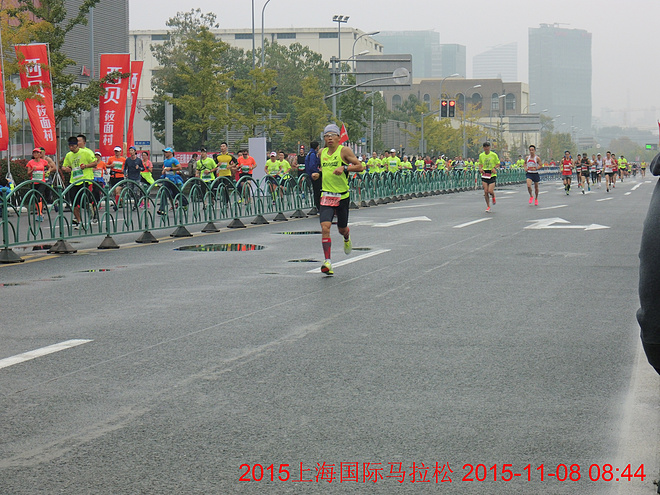 战 上 海          记我的2015上海马拉松