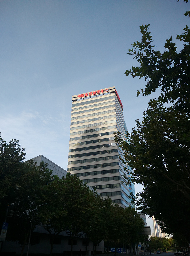 你若安好，便是晴天------2015上海马拉松急救兔T59随记