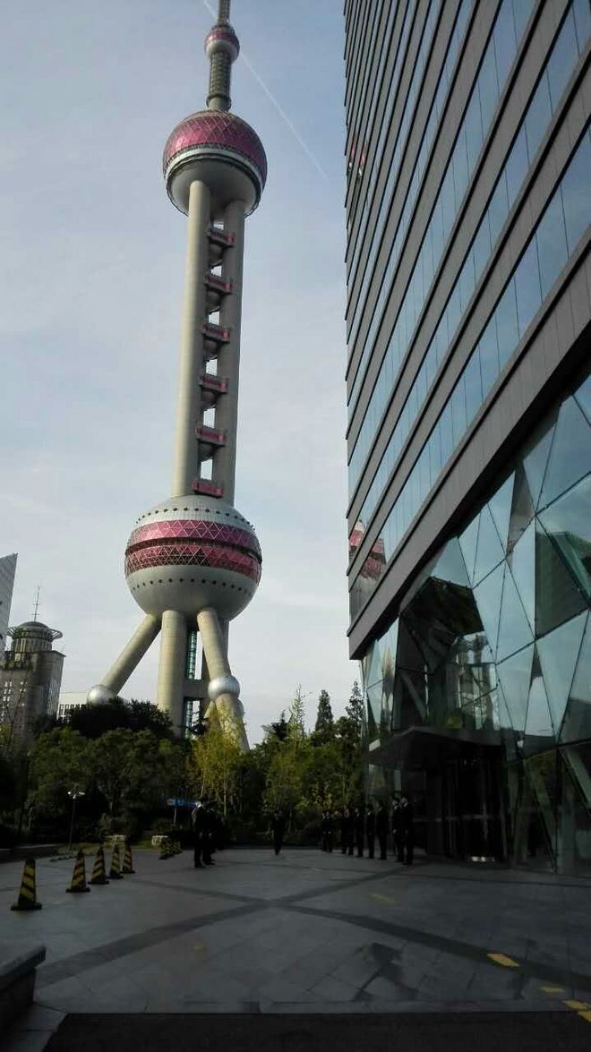 你若安好，便是晴天------2015上海马拉松急救兔T59随记