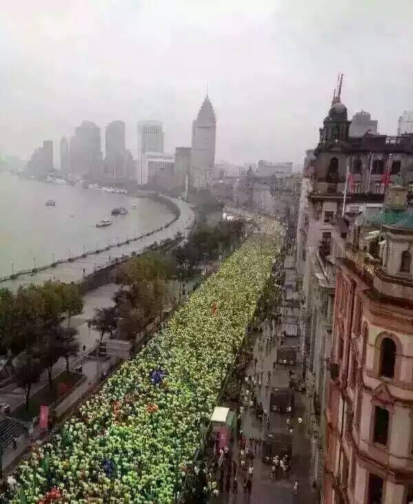 你若安好，便是晴天------2015上海马拉松急救兔T59随记