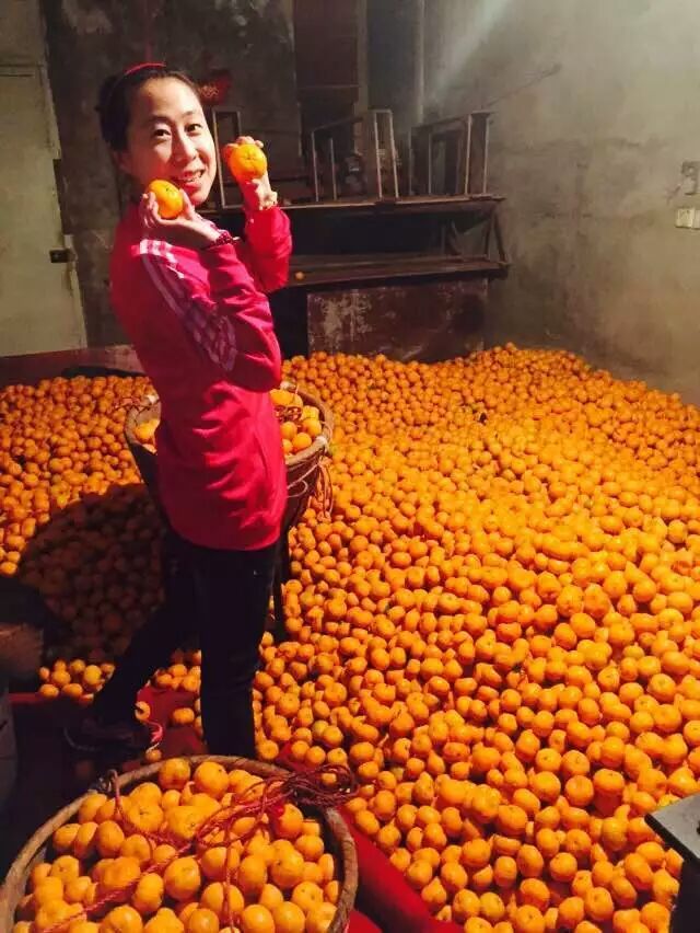 2015柴古九峰-上海拦不住