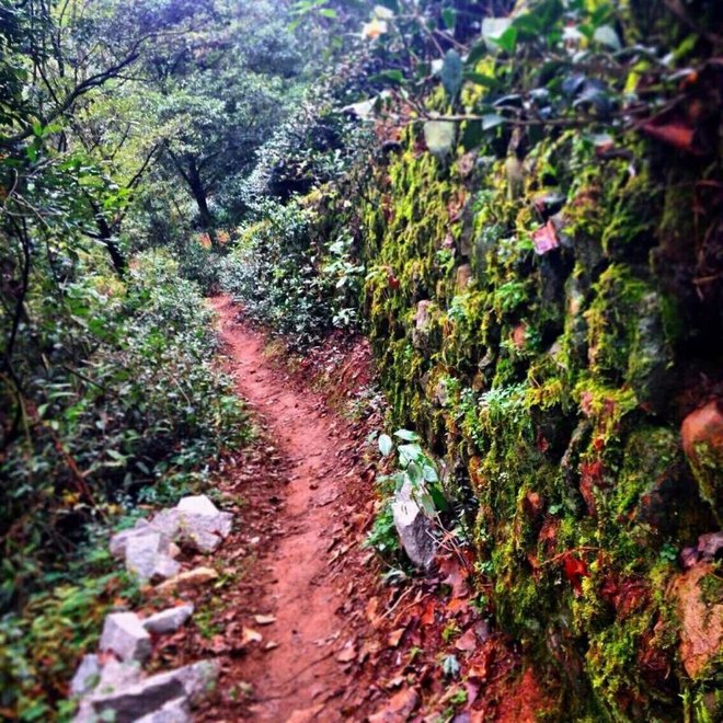 最文青威斯杭州十年越野，我的第一跑