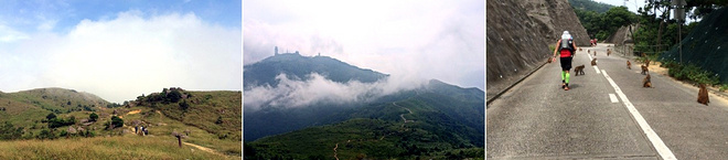 梦魇一样的存在 虐至灵魂深处仍热爱——记HK 45K黑夜长征