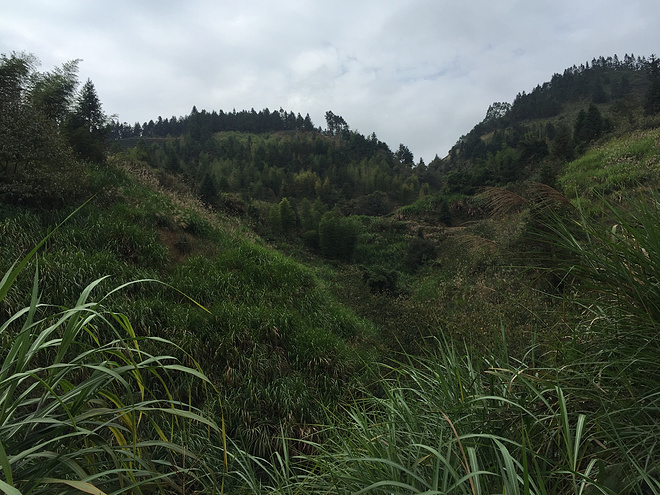 【众测报告】南靖土楼国际马拉松 | Pain is inevitable,suffering is optional!