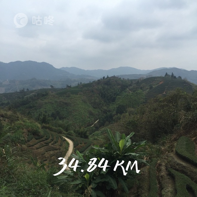 【众测报告】南靖土楼国际马拉松 | Pain is inevitable,suffering is optional!