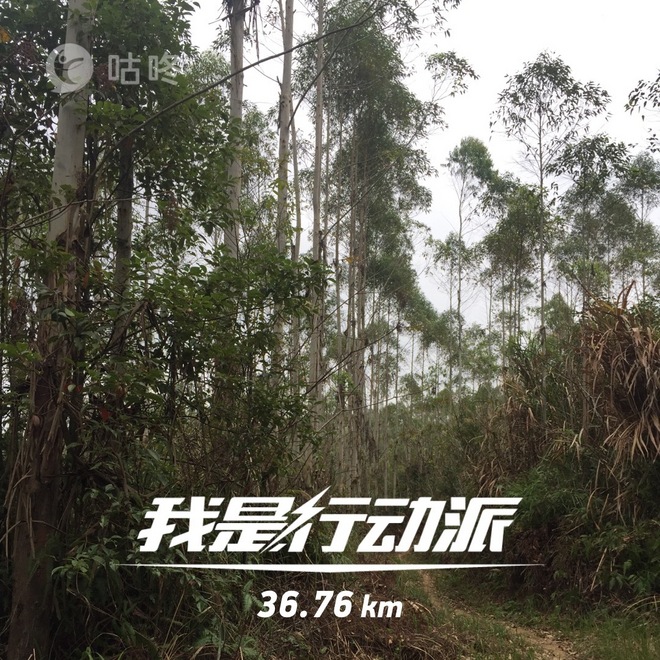 【众测报告】南靖土楼国际马拉松 | Pain is inevitable,suffering is optional!