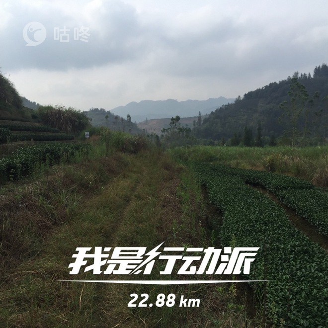 【众测报告】南靖土楼国际马拉松 | Pain is inevitable,suffering is optional!