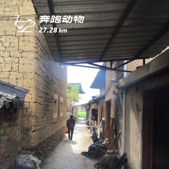 【众测报告】南靖土楼国际马拉松 | Pain is inevitable,suffering is optional!