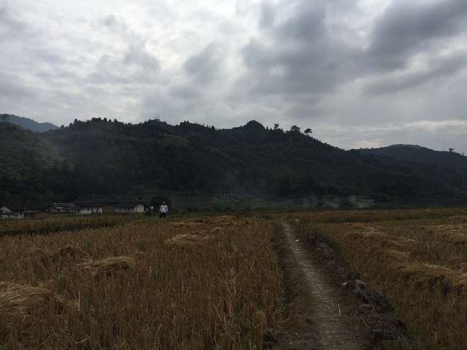 【众测报告】南靖土楼国际马拉松 | Pain is inevitable,suffering is optional!