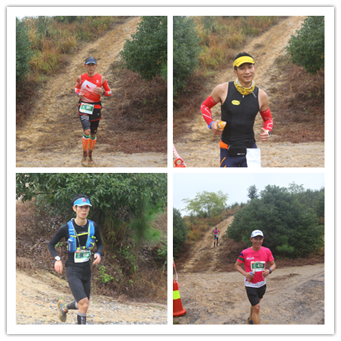 那一场仙湖风花雪月玩泥巴的故事