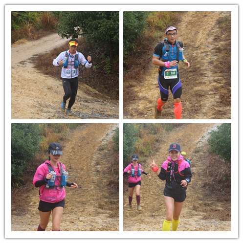 那一场仙湖风花雪月玩泥巴的故事