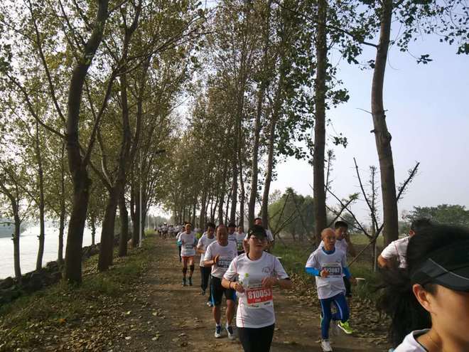 运马，不来你就亏了