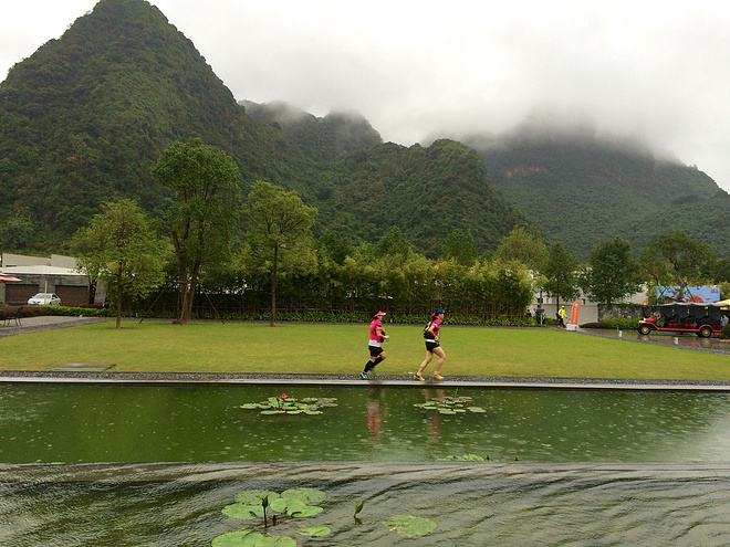 那一场仙湖风花雪月玩泥巴的故事