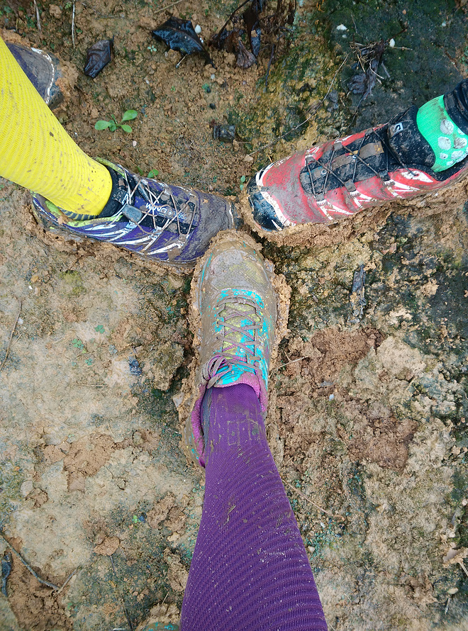 那一场仙湖风花雪月玩泥巴的故事