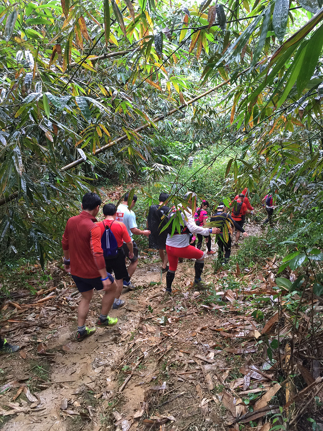 那一场仙湖风花雪月玩泥巴的故事
