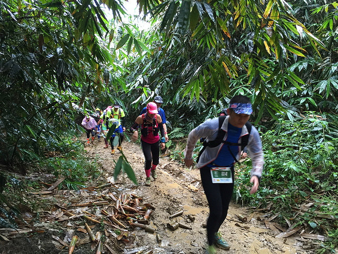 那一场仙湖风花雪月玩泥巴的故事