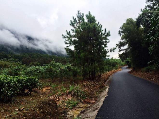 那一场仙湖风花雪月玩泥巴的故事