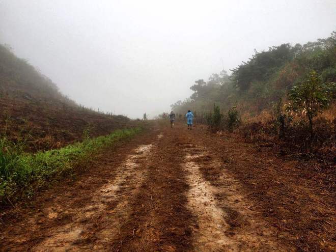那一场仙湖风花雪月玩泥巴的故事