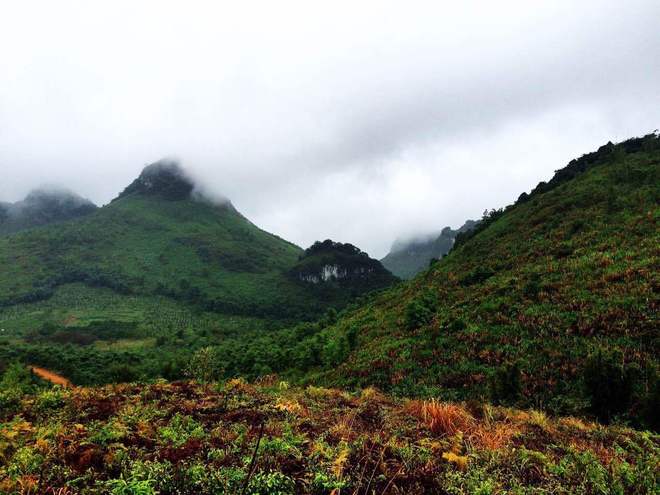 那一场仙湖风花雪月玩泥巴的故事