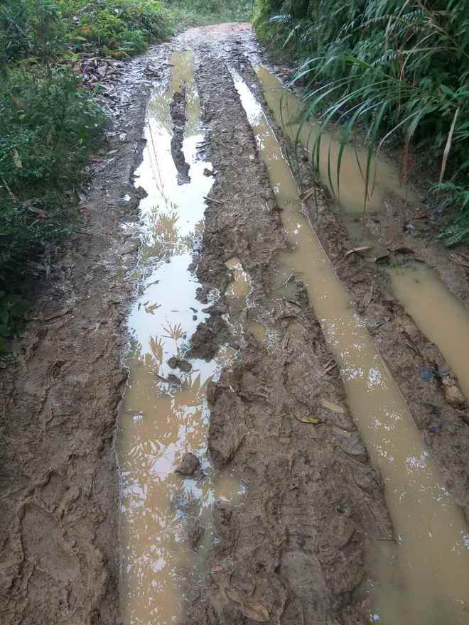 那一场仙湖风花雪月玩泥巴的故事
