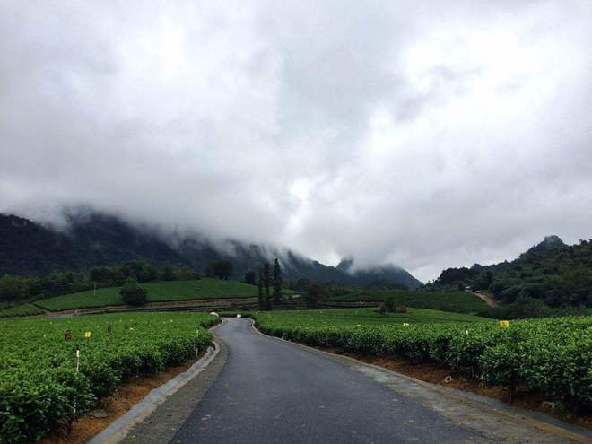 那一场仙湖风花雪月玩泥巴的故事