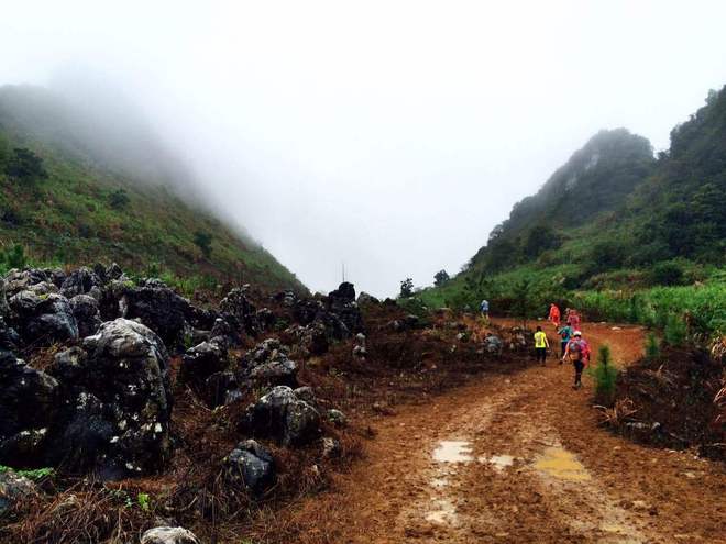 那一场仙湖风花雪月玩泥巴的故事