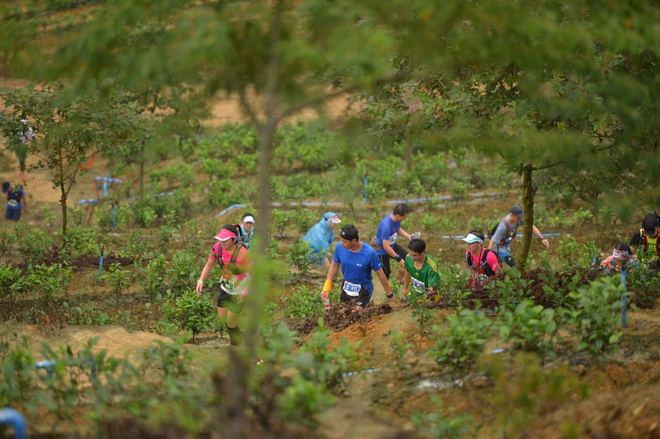 那一场仙湖风花雪月玩泥巴的故事