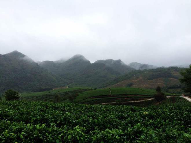 那一场仙湖风花雪月玩泥巴的故事