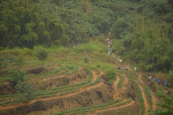 那一场仙湖风花雪月玩泥巴的故事