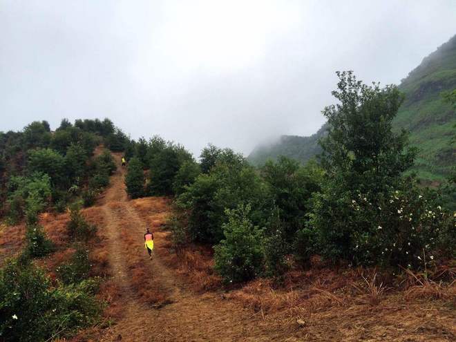那一场仙湖风花雪月玩泥巴的故事