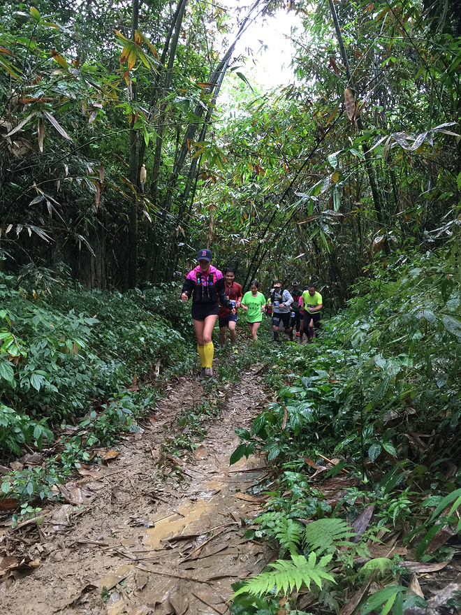 那一场仙湖风花雪月玩泥巴的故事