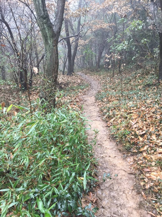 山野迷踪-无锡越野挑战赛