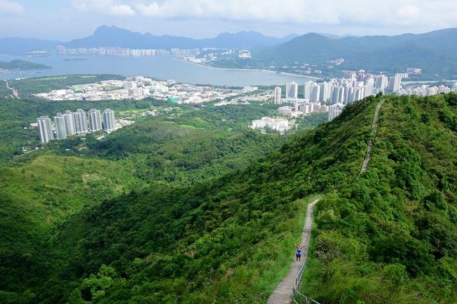 TNF100 HONG KONG 2015 郊遊記