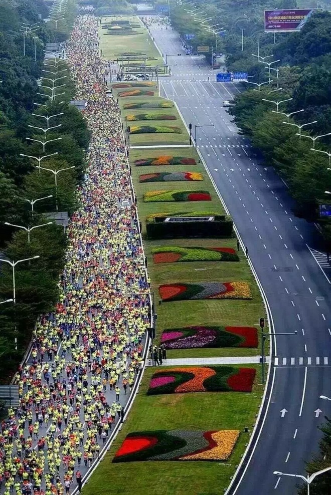 匆匆深广两马情