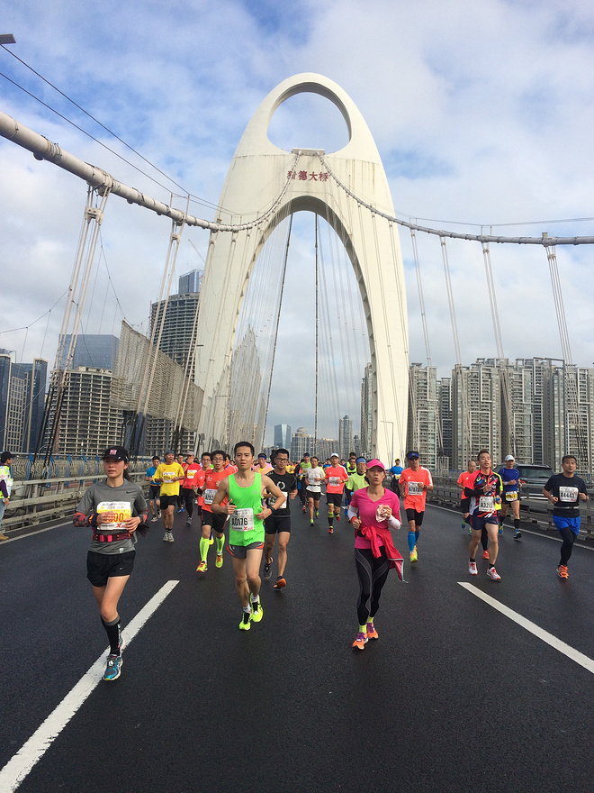 匆匆深广两马情